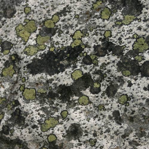 2004-05-08 106_0689.jpg