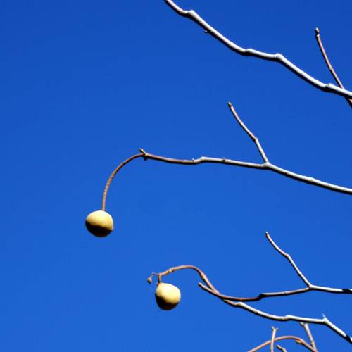 2004-10-31 IMG_1504 optimized.jpg