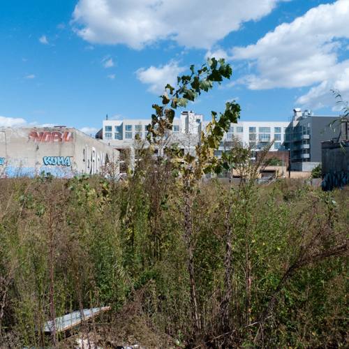 Chad Carpenter - 20.jpg